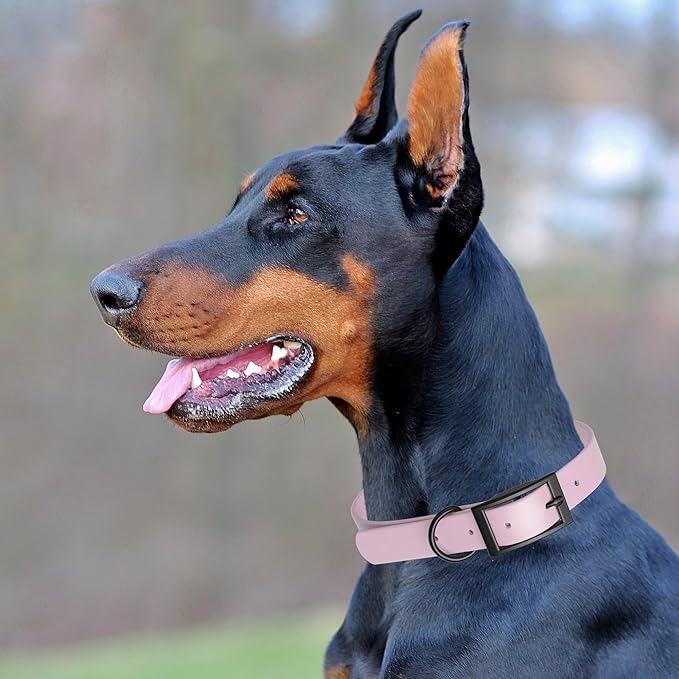 Dogline Biothane Coated Webbing Dog Collar with Black Metal Hardware: Durable Easy-Clean Everyday Collar for Dogs - Comfortable Adjustable Odor-Resistant Pet Collar, W1 x L18-22, Pastel Purple