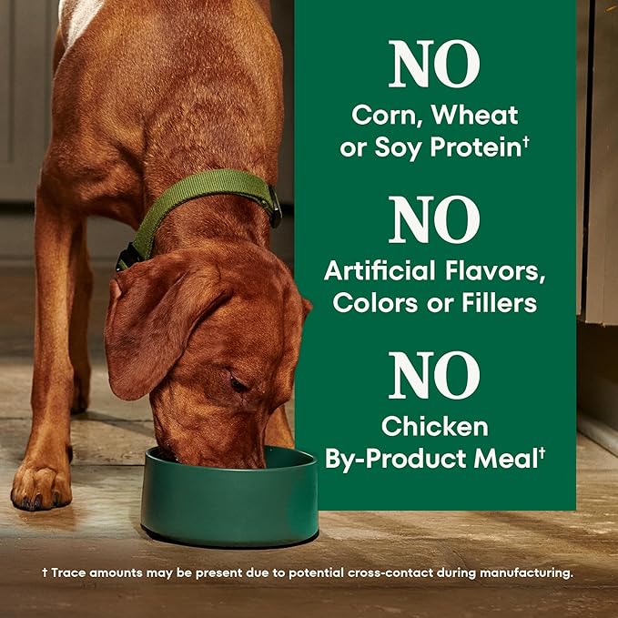 Nutro Natural Choice Chicken & Brown Rice Adult Dry Dog Food Recipe, 5 lb. Bag