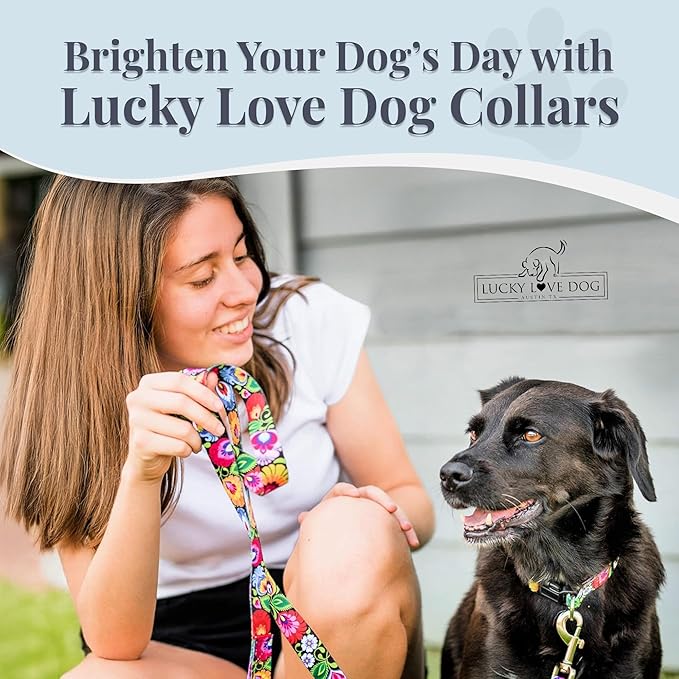 Lucky Love Dog - Easy Click Buckle Dog Collar with Leash Set Combo, Durable & Comfortable for Male & Female Dogs, Pet Collar for Small to Large Dogs, Secure Fit - Blackbird Combo, X-Small