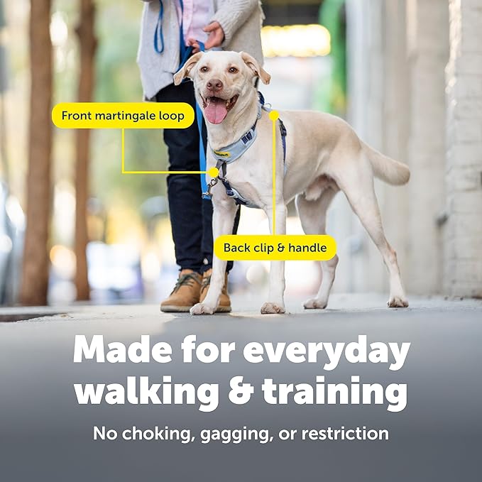 PetSafe Easy Walk Comfort No-Pull Dog Harness - Better Walk Training Harness - Full Body Padded Design - Durable Fabric - 5 Point Adjustable Fit - Everyday Leash Training - Pink - X-Small