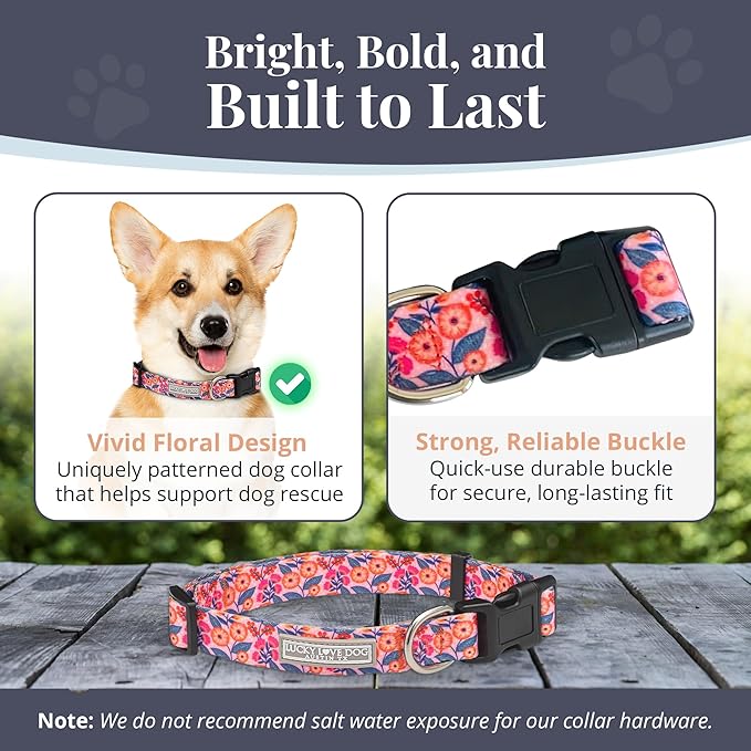 Lucky Love Dog - Adjustable Dog Collar with Easy Click Buckle for Small to Large Ones, Durable, & Comfortable for Male & Female Dogs, Pet Collar for Puppies & Adult Dogs - Rosie, Small