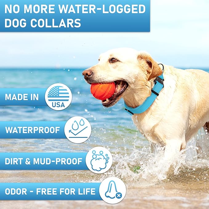 Biothane Dog Collar with Cobra Buckle - Made in USA - QR Code Dog Tag ID Included - Adjustable Heavy Duty Dog Collars for Medium Large Dogs - Waterproof Military Grade Tactical Collar for Dogs
