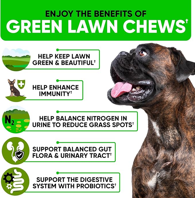 Green Lawn Chews for Dogs - Natural Dog Urine Neutralizer for Lawn with Cranberry, Probiotics, ACV & Digestive Enzymes - 120 Chews for Healthy Bladder, Urinary Tract - Grass Burn, Yellow Spots Treats