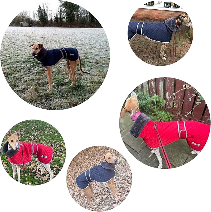 Geyecete Greyhound Fleece Jumper,Greyhound Dog Winter Coat,Whippet Winter Coat Waterproof Windproof Outdoor Dog Apparel for Whippet Lurcher Salukis-Blue-L