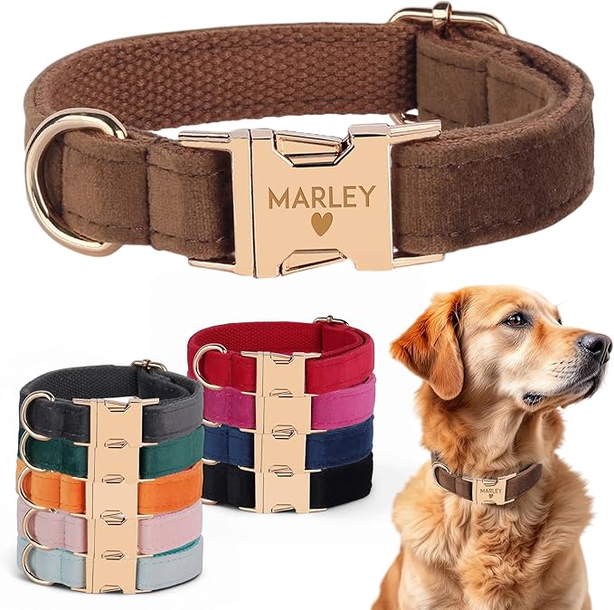 Velvet Harness Set, Gift for Pet Owners, Custom Dog Collar Personalized Name and Phone Number, Custom Collar and Leash for Dogs, Engraved Metal Buckle Collar (X-Large)