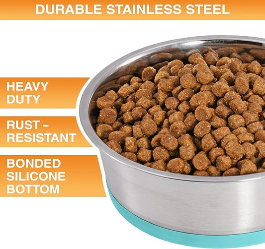 Neater Pet Brands Stainless Steel Dog Bowls with Non-Slip Rubber Bottom – Set of 2, 4 Cup (32 oz), Teal - Heavy Duty Metal Dog Bowl, Dishwasher Safe, Food or Water Bowl, Ideal for Medium Dogs