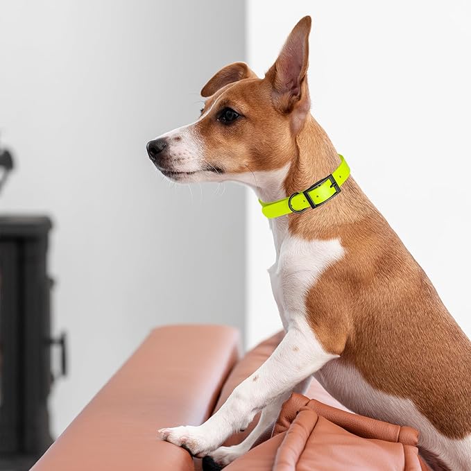 Dogline Biothane Coated Webbing Dog Collar with Black Metal Hardware: Durable Easy-Clean Everyday Collar for Dogs - Comfortable Adjustable Odor-Resistant Pet Collar, W1 x L18-22, Safety Yellow