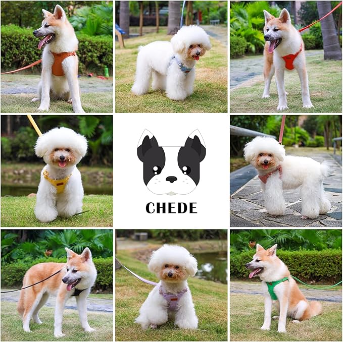 CHEDE No Pull Puppy Harness and Multifunction Dog Leash Set- 8 Colors Soft Adjustable No Choke Escape Proof Cute,Lightweight Pet Vest Harness for Small and Medium Dog (XXS, Red)