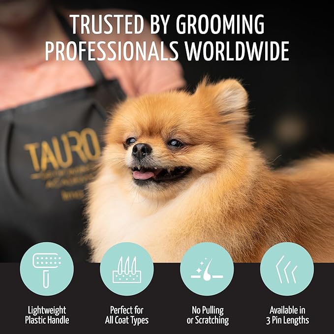 Tauro Pro Line Slicker Dog Brush for Shedding - Detangler for Long & Wavy Hair - Dematting Pet Slicker Brush for Dogs & Cat, Doodle Grooming, Non-Slip Grip, Soft Pin (Size S - Mint)