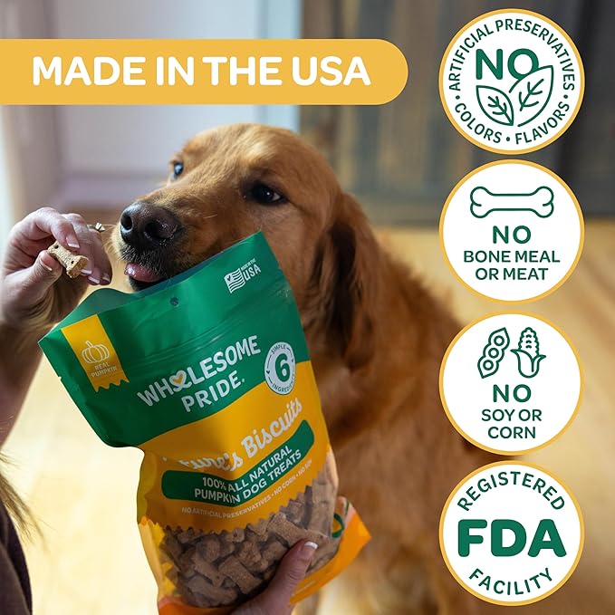 Wholesome Pride Nature’s Biscuits Pumpkin Dog Treats - Crunchy, Natural, Limited‑Ingredient, Grain‑Inclusive Recipe with Fiber‑Rich Pumpkin - Mini Bone‑Shaped Treats - 16oz Bag