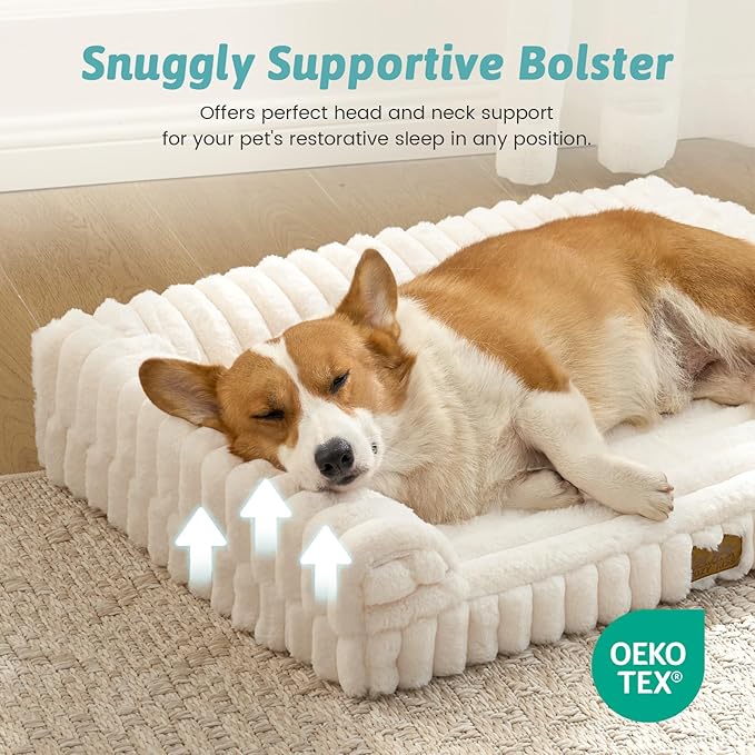 Cute Dog Bed for Small Dogs, Faux Fur Orthopedic Foam Dog Bed with Sides, Removable Washable Cover & Waterproof Lining, Comfortable Pet Couch, Cream (30" L x 20" W x 6" Th)