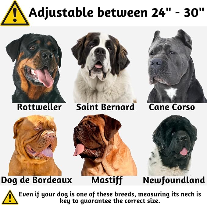 ADITYNA Heavy Duty Dog Collar for Extra-Large Dogs - Camo Red Blue Collar with Handle for Training, and Walking - Wide, Tactical, Soft Neoprene Padded