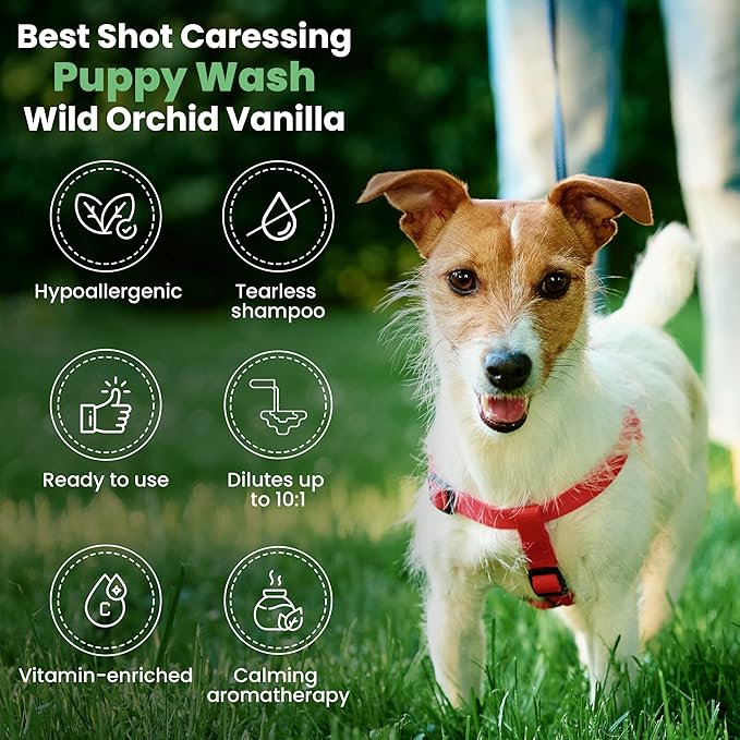 Best Shot Scentament Spa Caressing Puppy Wash, Wild Orchid Vanilla, 16 oz