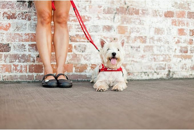 EzyDog Soft Trainer Dog Leash with Traffic Control Handle - Reflective Stitching for Nighttime Safety and Superior Strength and Comfortability for Training Large to Medium Dogs (72”, Denim)