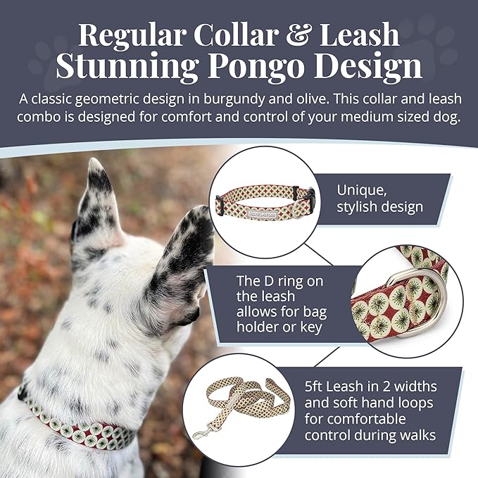 Lucky Love Dog - Easy Click Buckle Dog Collar with Leash Set Combo, Durable & Comfortable for Male & Female Dogs, Pet Collar for Small to Large Dogs, Secure Fit - Pongo Combo, Large