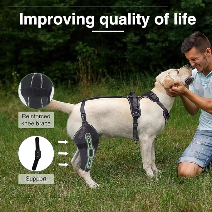 Dog Knee Brace for ACL/CCL Injuries,Torn Ligament,Luxating Patella - Rear Leg Support,Pain Relief,Joint Warmth,Right Legs,Black,Size:L