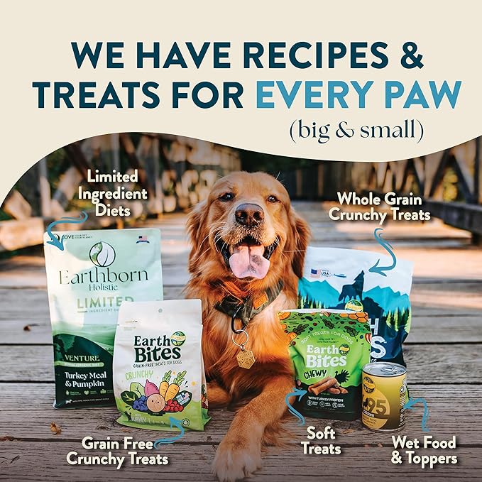Earthborn Holistic Venture Alaska Pollock Meal & Pumpkin Limited Ingredient Diet Grain-Free Dry Food for Dogs & Puppies (4 lb. Bag)