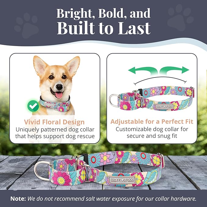 Lucky Love Dog Martingale Dog Collar - Adjustable, No-Slip, Durable, & Soft Webbing Collar for Male and Female Dogs Ideal for Training & Walking - Caroline, Small