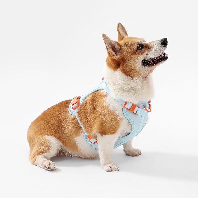 HNS1002D Arlo Medium Adjustable Soft Padded No Pull Pet Harness with 3 Buckles and 3 Leash Clips, Fishbowl