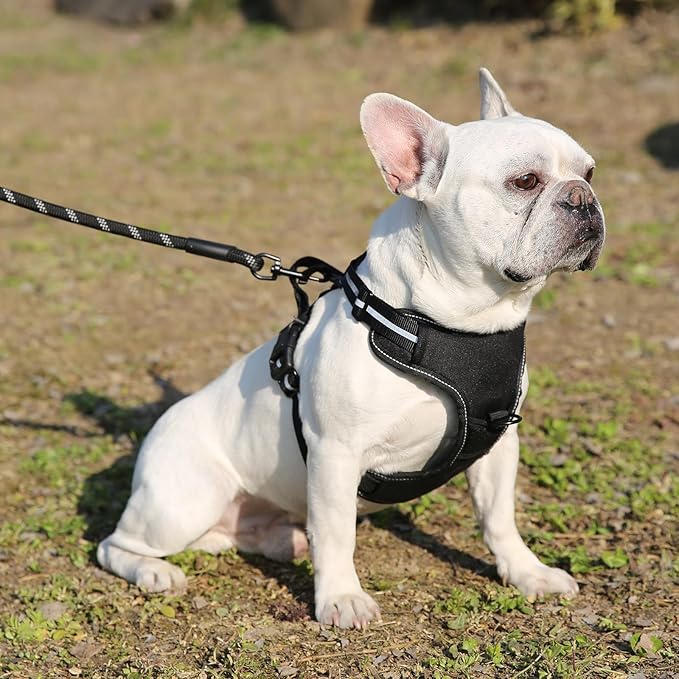 Amazon Basics No-Pull Dog Harness, Adjustable Soft Padded Vest with Reflective Stripes, X-Large, Black