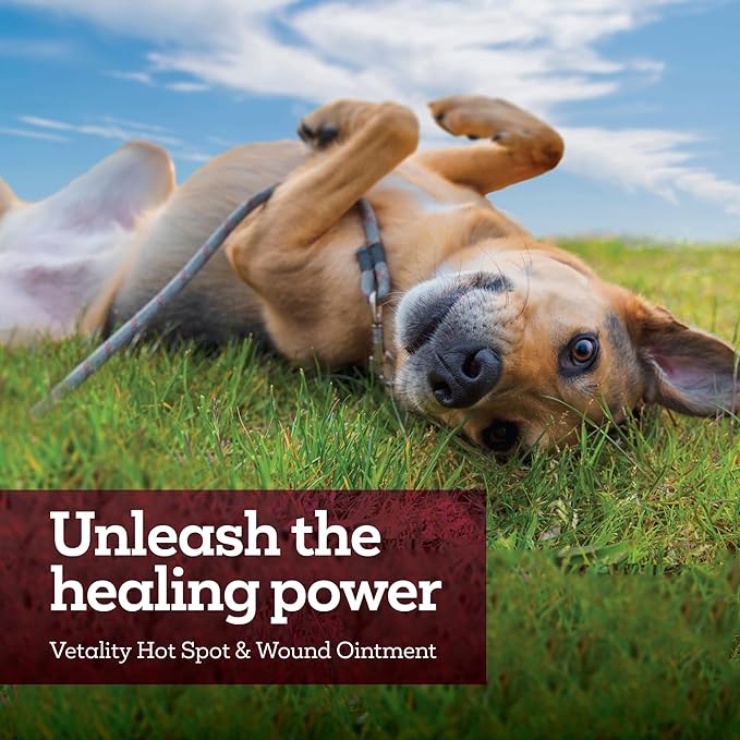 Vetality Hot Spot and Wound Ointment for Pets, Itch Relief for Dog Sores and Irritations, 2.5 oz