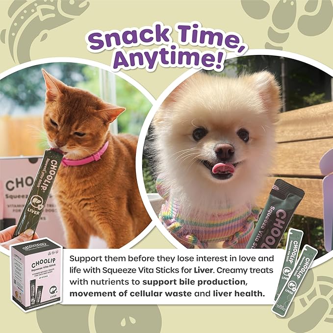 Choolip Squeeze Vita Stick Lickable Cat and Dog Treats – 49-Count Liver Support Sticks with Multivitamins, Soft Squeezable Paste for All Life Stages, Supporting Liver Health - Box with 7 Pouches