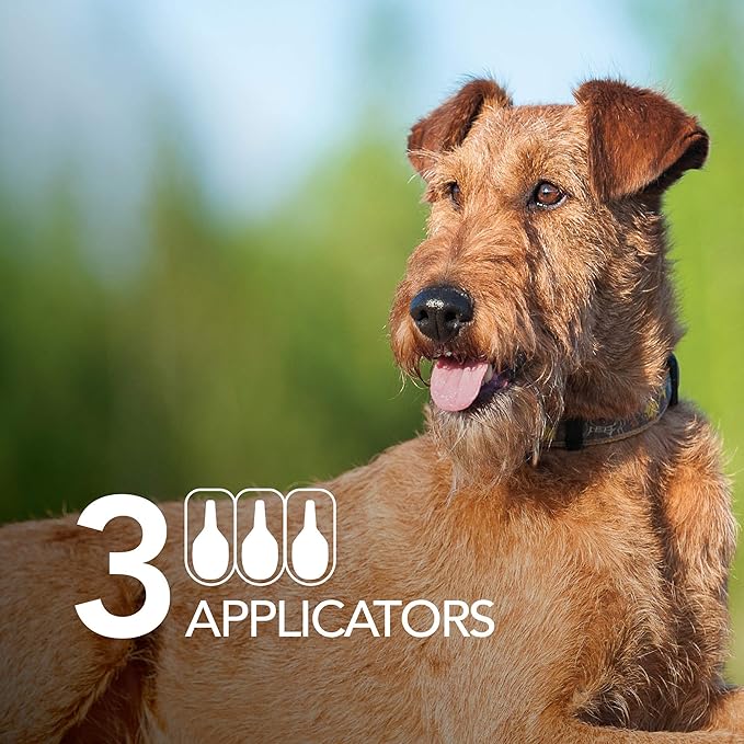 FirstAct Plus Flea Treatment for Dogs, Small Dogs 6-22 lbs, 3 Doses, Same Active Ingredients as Frontline Plus Flea and Tick Prevention for Dogs