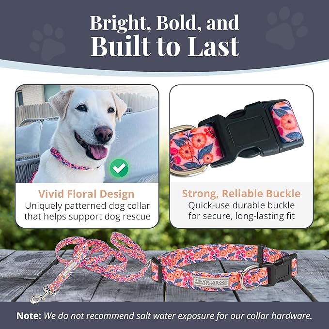 Lucky Love Dog - Easy Click Buckle Dog Collar with Leash Set Combo, Durable & Comfortable for Male & Female Dogs, Pet Collar for Small to Large Dogs, Secure Fit - Floral Rosie Combo, X-Small