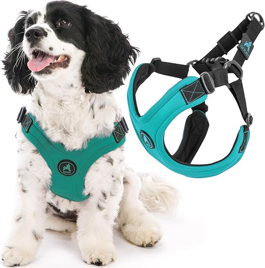 Gooby Escape Free Sport Harness - Turquoise, Small - No Choke Step-in Patented Neoprene Dog Harness with Four-Point Adjustment for Small to Medium Dogs