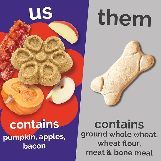 Fruitables Biggies Dog Biscuits, Healthy Treats for Dogs, Doggie Biscuits, Crunchy Pumpkin Treats, Free of Wheat, Corn and Soy, Made in The USA, Crispy Bacon & Apple Flavor, 16oz