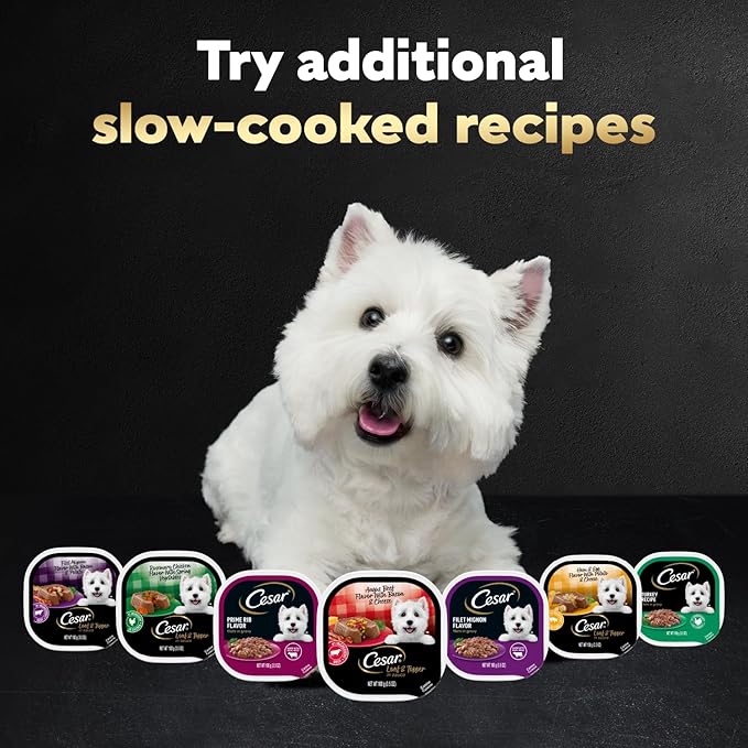 Cesar Loaf in Sauce Wet Dog Food Rotisserie Chicken, Filet Mignon, Angus Beef, and Ham & Egg Flavors Variety Pack, 3.5 oz. Easy Peel Trays (24 Count, Pack of 1)
