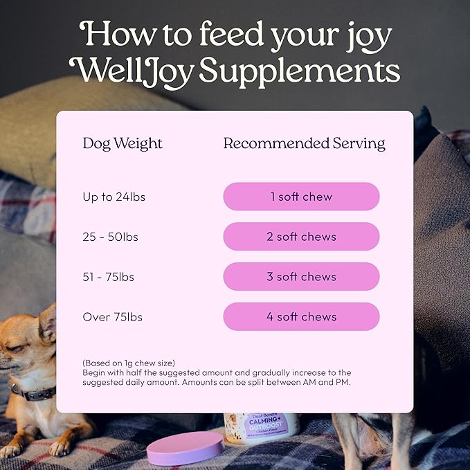 WellJoy Dog Supplement Calming+ GutBoost | Dog Health Supplement | Promotes Relaxation & Calmness | Dual-Benefit GutBoost Formulation | Vet Formulated | USA Made | Chicken Flavor | 90 Soft Chews
