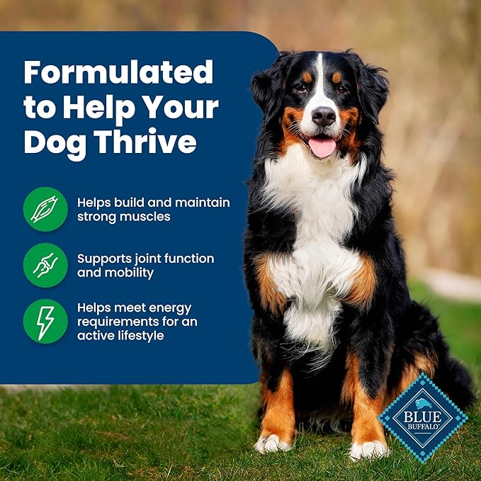 Blue Buffalo Life Protection Formula Adult Dry Dog Food, Helps Build and Maintain Strong Muscles, Made with Natural Ingredients, Lamb & Brown Rice Recipe, 24-lb. Bag