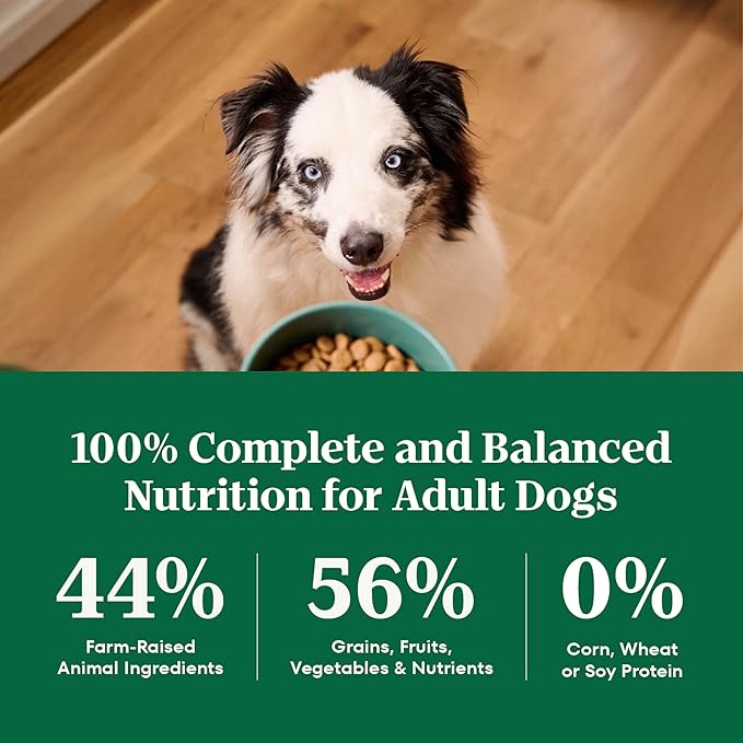 Nutro Natural Choice Chicken & Brown Rice Adult Dry Dog Food Recipe, 13 lb. Bag
