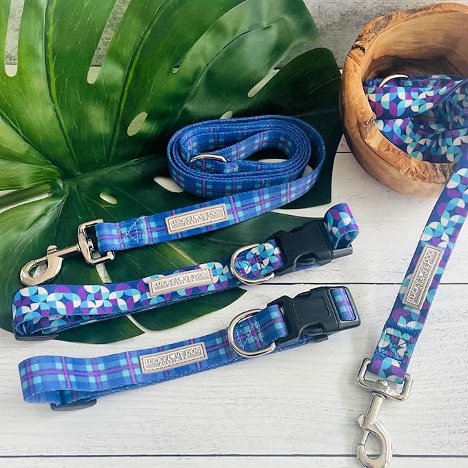 Lucky Love Dog - Adjustable Dog Collar with Easy Click Buckle for Small to Large Dogs, Durable, & Comfortable for Male & Female Dogs, Pet Collar for Puppies & Adult Ones - Jasper, XL