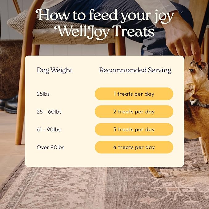 New! WellJoy Dog Treat Immune+ GutBoost | Vitamin E | Pumpkin for Sensitive Stomachs | Dual-Benefit GutBoost Formulation | Vet Formulated | USA Made | Made with Real Shredded Chicken | 30 Soft Chews