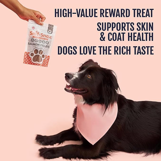 Snif-Snax Salmon Fillets Dog Treats 3 Pack – All Natural Human Grade Grain Free Training & Reward – High Protein Salmon Sticks for Dogs, Healthy Puppy Treats, Soft Jerky-Style Strips
