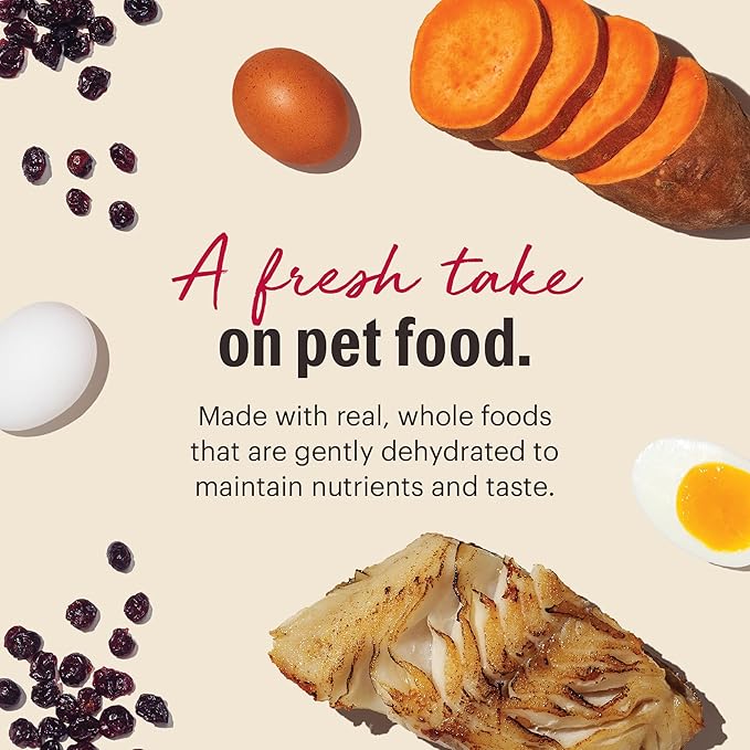 The Honest Kitchen Wholemade™ Dehydrated Grain Free Fish Dog Food, 4 lb Box