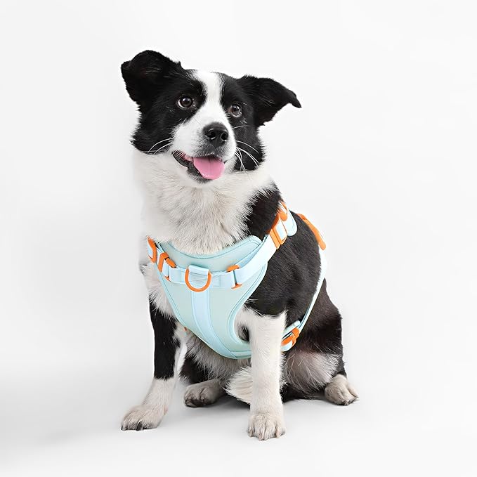 HNS1003D Arlo Large Adjustable Soft Padded No Pull Pet Harness with 3 Buckles and 3 Leash Clips, Fishbowl
