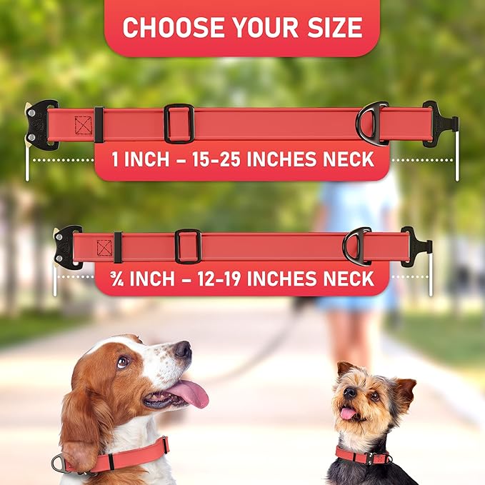 Biothane Dog Collar with Cobra Buckle - Made in USA - QR Code Dog Tag ID Included - Adjustable Heavy Duty Dog Collars for Medium Large Dogs - Waterproof Military Grade Tactical Collar for Dogs