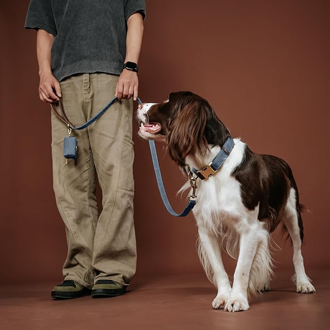 Didog Soft PU Leather Dog Collar for Large Dogs,Classic Adjustable Dog Collars with Quick Release Metal Buckle,Easy Clean and Comfortable with Nylon Lining,Blue,L Neck 15-23"