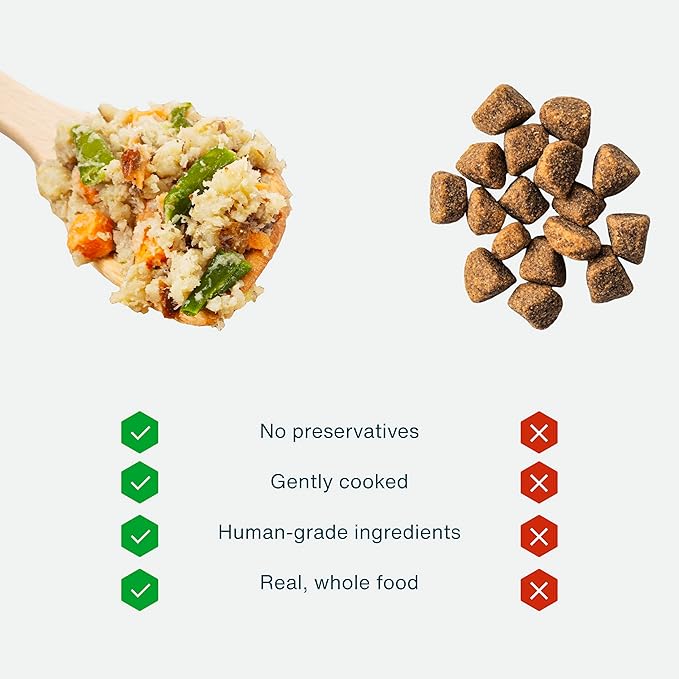 JustFoodForDogs Sensitive Skin Dog Food, Frozen Fresh Pet Meals and Toppers for Skin and Coat, Human Grade, Fortified with Omega 3, Highly Digestible, White Fish - 18-oz, 21 Pack