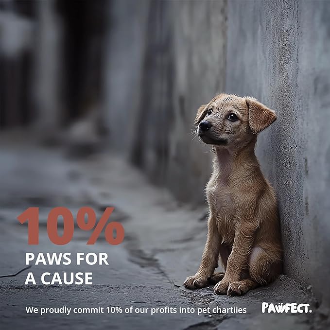 Pawfect Dog Poop Bags Rolls – Biodegradable Poop Bags, Compostable Dog Waste Bags, BPI Certified Pet Waste Bags, Unscented, Large, Puppy Poo, Earth Friendly, Bolsas Para Perros Popo (480 Counts)