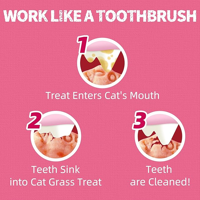 Just Try 13.4 OZ Urinary Tract Health Cat Treats for Indoor Cats, Cranberry & D-Mannose for Kidney Bladder and UT Support, Health Cat Supplement Crunchy Chews