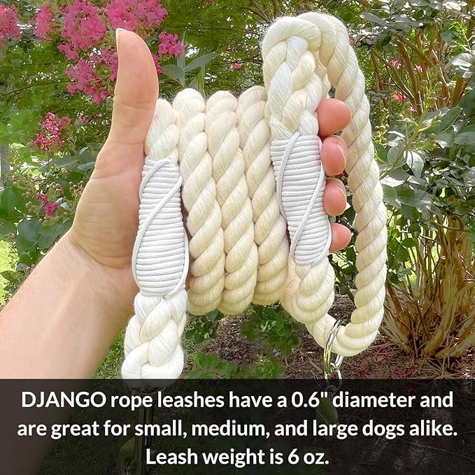 DJANGO Cotton Rope Dog Leash 5ft – Handcrafted Dog Leash and Cream Braided Leash for Small, Medium, and Large Dogs – Durable 5 Foot Training Lead for Puppies and Adult Dogs – Silver Hardware – Ivory