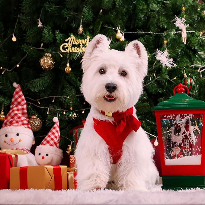 Didog Cute Small Dog Harness Collar and Leash Set with Bowtie, Breathable Soft Mesh Padded Puppy Harness, Christmas Dog Harness for for Parties, Holiday Gatherings & Gifts, Red, S