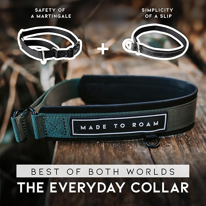 MADE TO ROAM Premium Everyday Dog Collar - Martingale Style No Pull Vegan Leather Collar, Heavy Duty and Lightweight for Small, Medium, Large Dogs (Florida Seaside, Size 6)