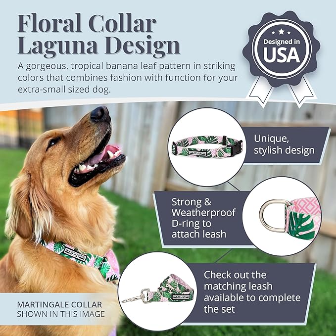 Lucky Love Dog - Adjustable Dog Collar with Easy Click Buckle for Small to Large Ones, Durable, & Comfortable for Male & Female Dogs, Pet Collar for Puppies & Adult Dogs - Laguna, XS