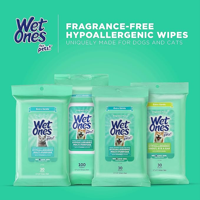 Wet Ones for Pets Extra Gentle Hypoallergenic Dog Wipes with Witch Hazel for Snout, Eye, Ear | Fragrance-Free for All Dogs with Wet Lock Seal | 30 Ct Pouch (Pack of 2)