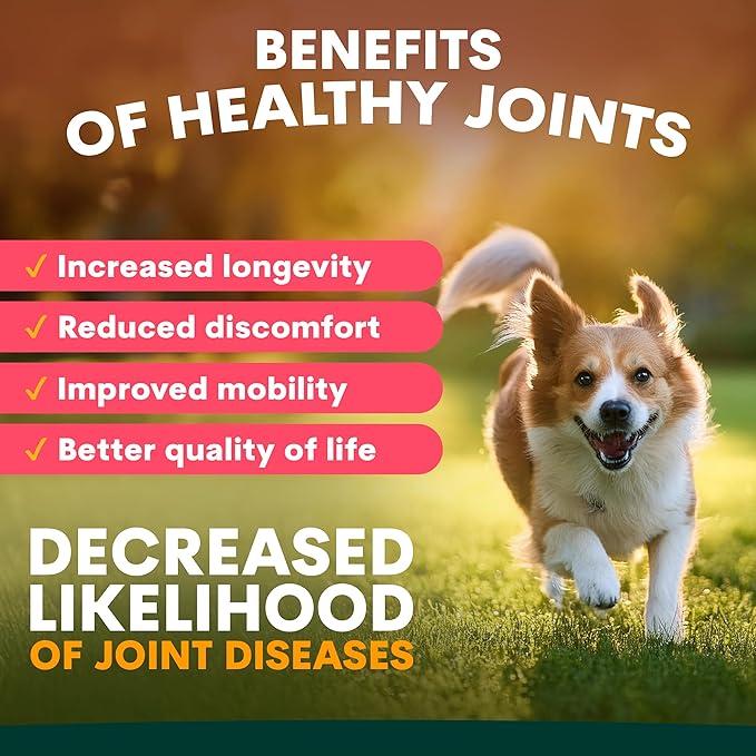 Petz Park Glucosamine for Dogs - Hip & Joint Support Powder with Chondroitin & MSM - Arthritis Pain Relief, Hip Dysplasia Treatment - 800mg Glucosamine - 90 Scoops